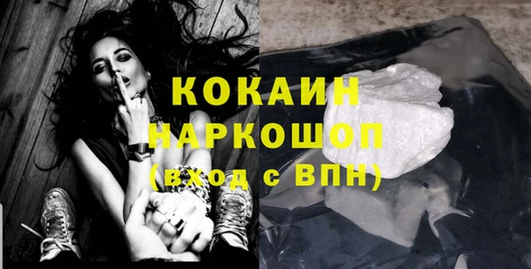 кокс Алексин