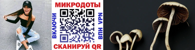 где найти Островной Псилоцибиновые грибы мухоморы